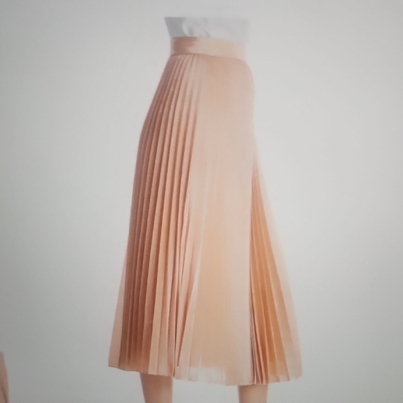 Reiss Alessi Metallic Pleated Midi Skirt Size 4 - Picture 7 of 7